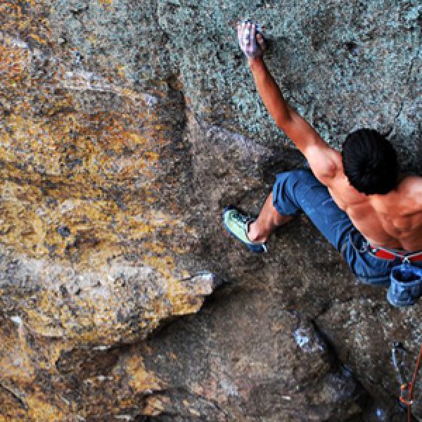 en Manjar de Dedos, Palestras, Chile