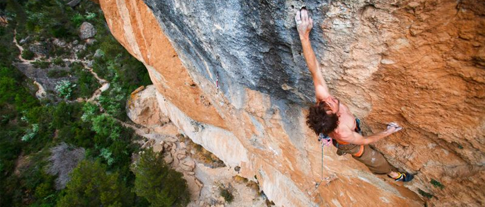 Favresse libera La Reina Mora