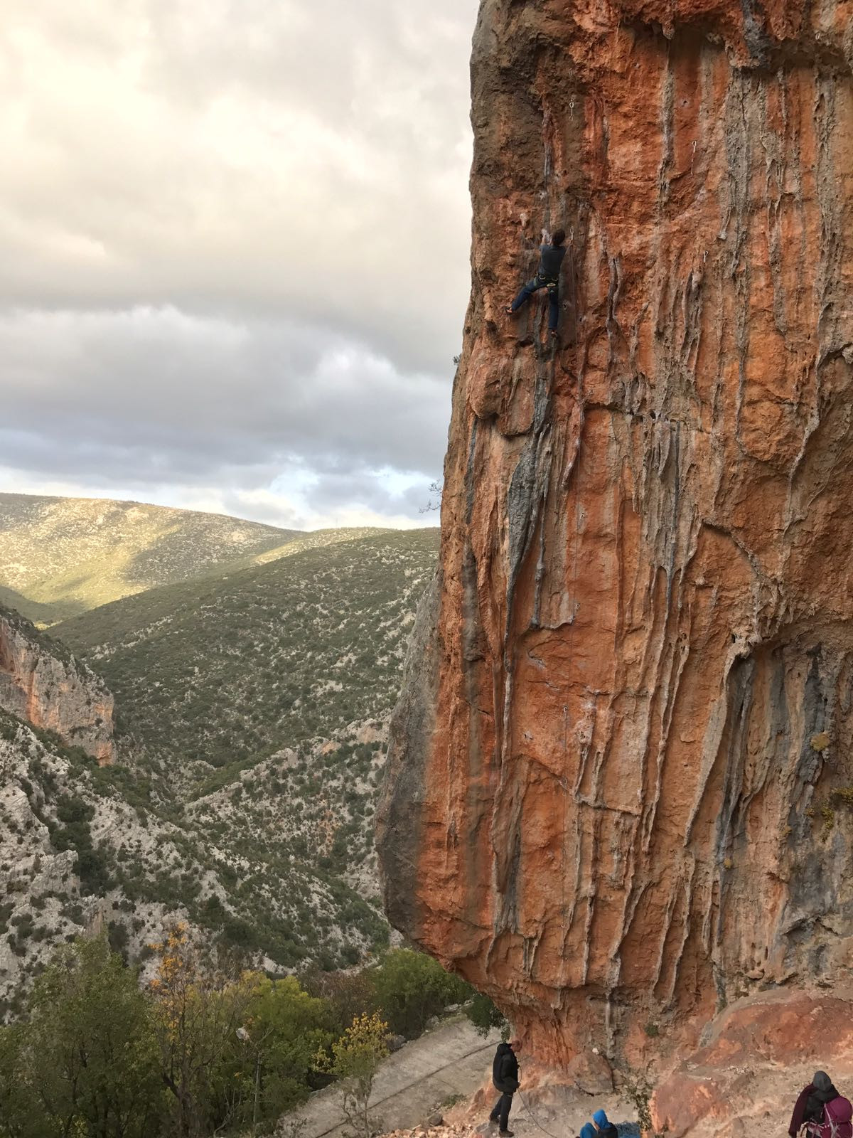 W.Elona Diet Dope 7b