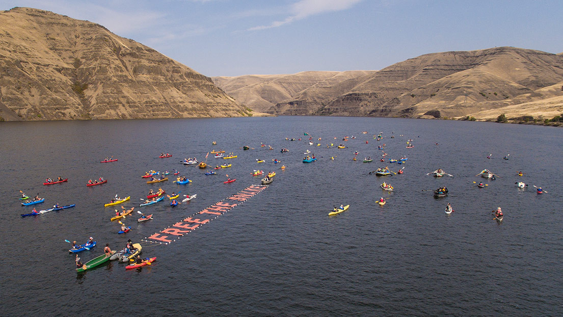 Patagonia_DonacionAmbiental_03