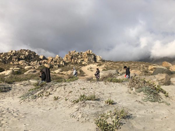 Peregrinacion a la roca